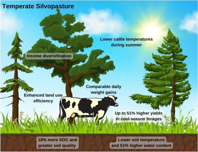 Animal pasture with 0 yield