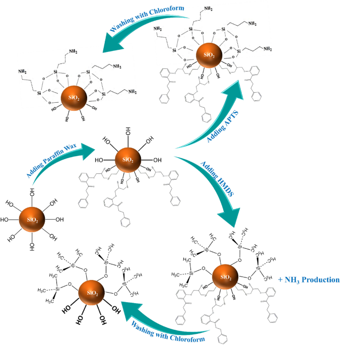 Stability of the YGYGY and HGHGH nanoparticles in water and in