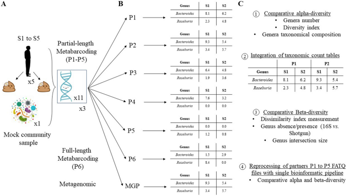 Multicenter evaluation of gut microbiome profiling by next-generation sequencing reveals major biases in partial-length metabarcoding approach