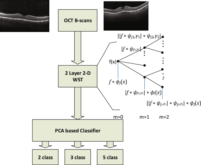 Wavelet scattering transform application in classification of 