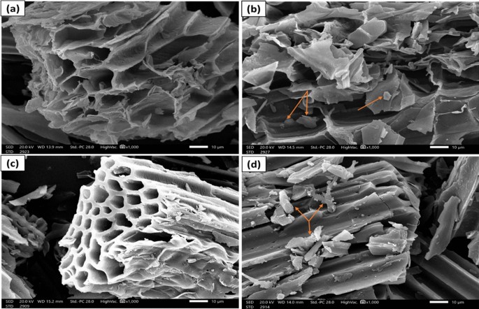 Influences of Mg-activation on sugarcane bagasse biochar