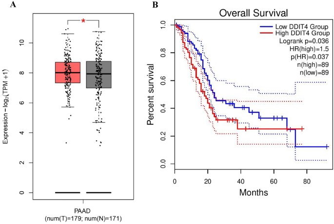 Nuclear overexpression of dna damage-inducible transcript 4 (ddit4) is associated with aggressive tumor behavior in patients with pancreatic tumors