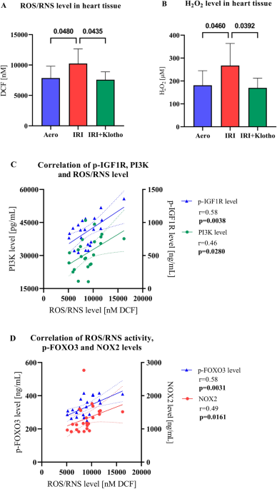 Klotho inhibits IGF1R/PI3K/AKT signalling pathway and protects the heart  from oxidative stress during ischemia/reperfusion injury | Scientific  Reports