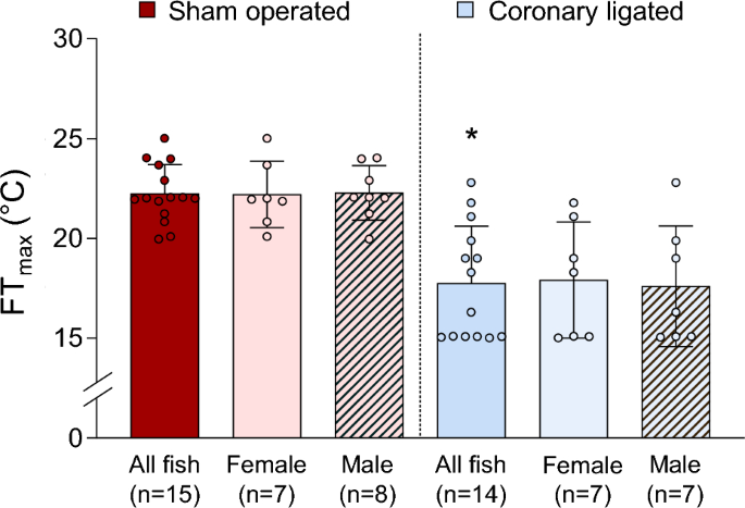 Impairing cardiac oxygen supply in swimming coho salmon