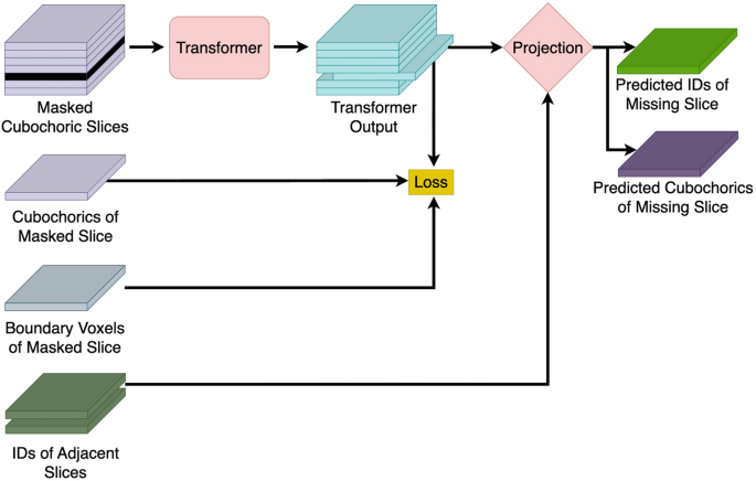 A lightweight transformer for faster and robust EBSD data collection