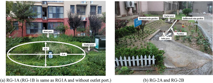 Pollutant accumulation and microbial community evolution in rain 
