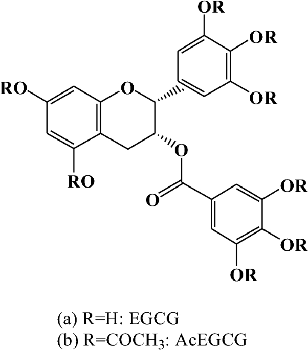 Separation and antioxidant activities of new acetylated EGCG compounds |  Scientific Reports