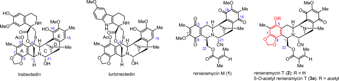 Semisynthesis of 5-O-ester derivatives of renieramycin T and their cytotoxicity against non-small-cell lung cancer cell lines