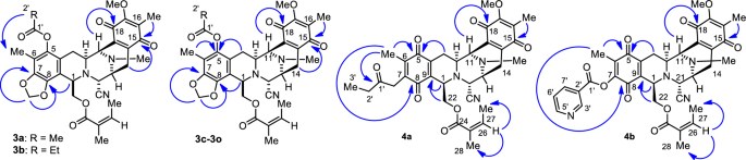 Synthesis of the Tetrahydroisoquinoline Alkaloid (±)-Renieramycin