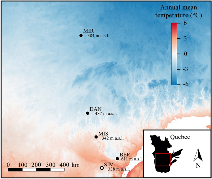 Local adaptation shapes functional traits and resource allocation