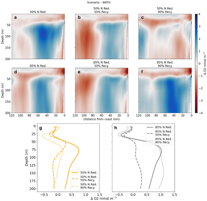 Relative amount of functional habitat and three services by planning