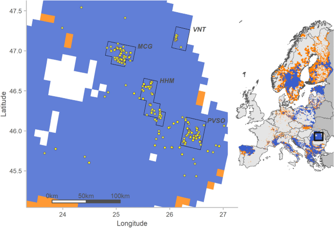 The extinct Sicilian wolf shows a complex history of isolation and