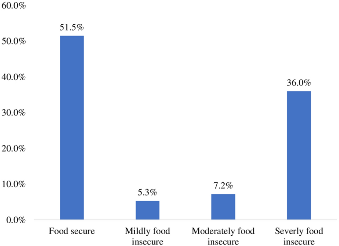 Correlates of minimum dietary diversity among pregnant women on antenatal care follow up at public health facility in puntland, somalia