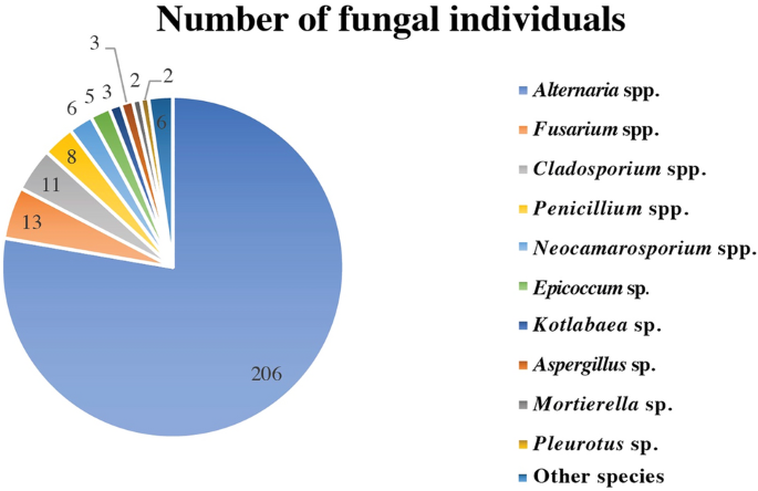Potential biodegradation of polycyclic aromatic hydrocarbons (PAHs 