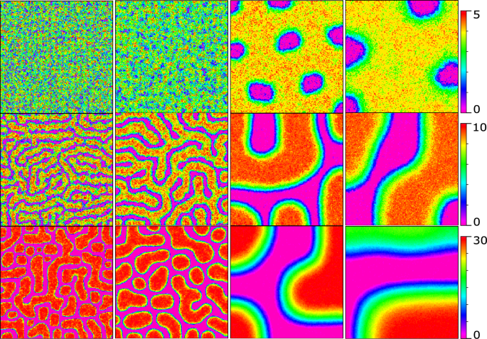 A computational model of stem cells' internal mechanism to 