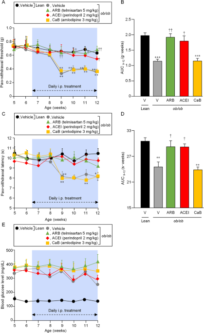 dihexa metabolic stability compared to angiotensin iv Frontiers PDF) Evaluation of Metabolically Stabilized