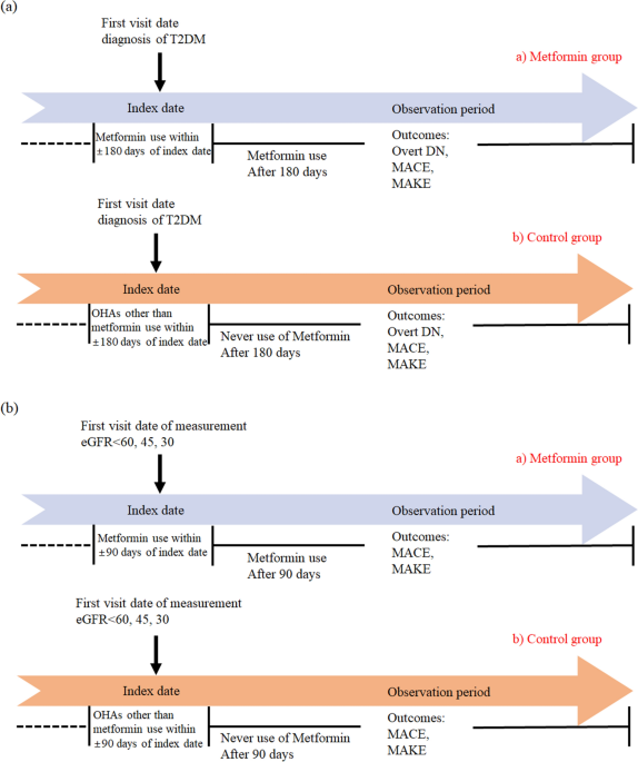 Impact of metformin on cardiovascular and kidney outcome based on 