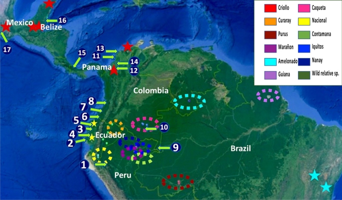 Mapping the Genetic Evolution of Cacao & March ’24 News/AMA | #PodSaveChocolate