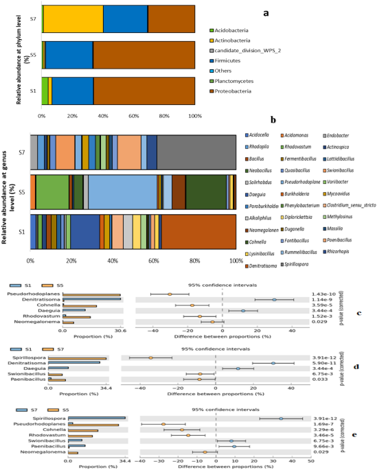 Impact of artisanal refining activities on bacterial diversity in a Niger Delta fallow land