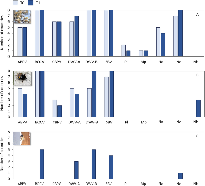 Distribution of infectious and parasitic agents among three 
