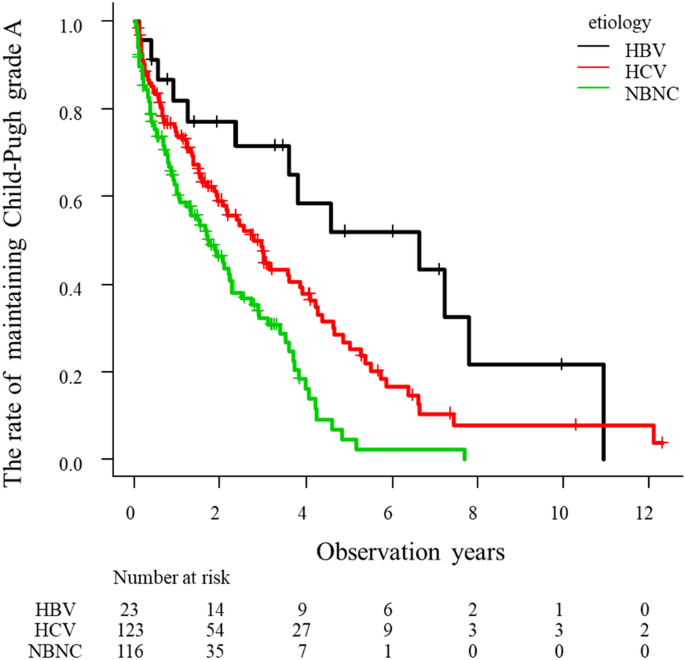 Child–Pugh grade deterioration stratified by the etiology after  transcatheter arterial chemoembolization as initial treatment for  hepatocellular carcinoma