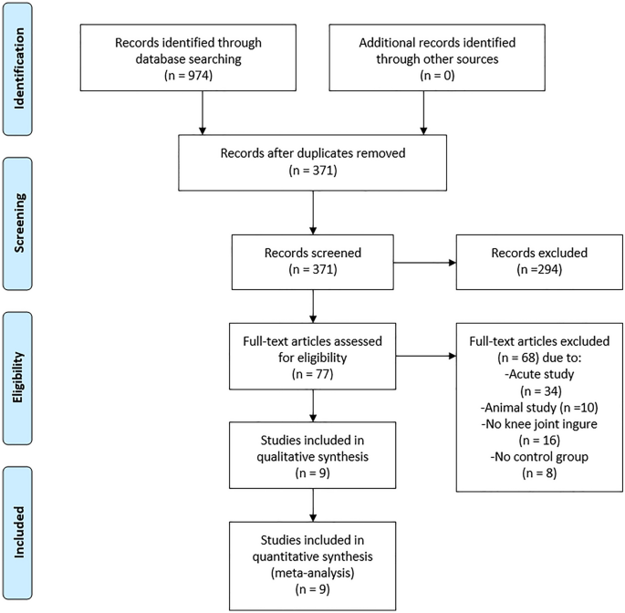 The impact of digital healthcare systems on pain and body function in patients with knee joint pain: a systematic review and meta-analysis