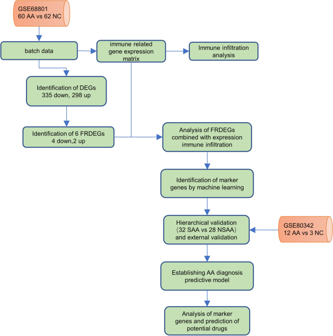 glutathione and alopecia Alopecia Areata: an Update on Etiopathogenesis, Diagnosis, and Management |  Clinical Reviews in Allergy & Immunology main image 0