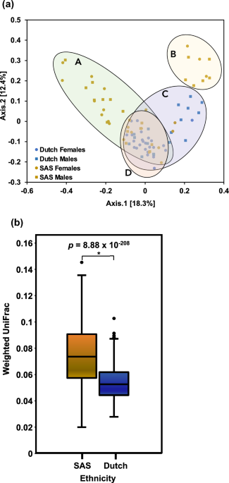 Differences in gut microbiota between Dutch and South-Asian