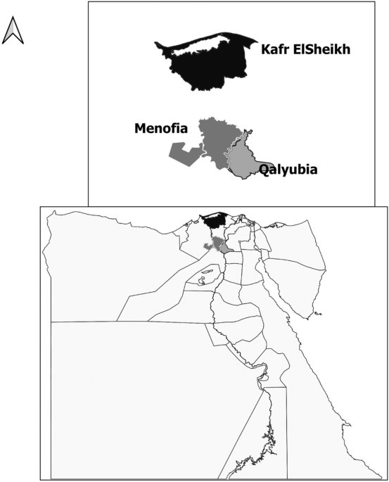 Seroprevalence and associated risk factors for bovine leptospirosis in egypt