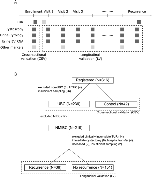 Cross-sectional and longitudinal analyses of urinary extracellular vesicle mrna markers in urothelial bladder cancer patients