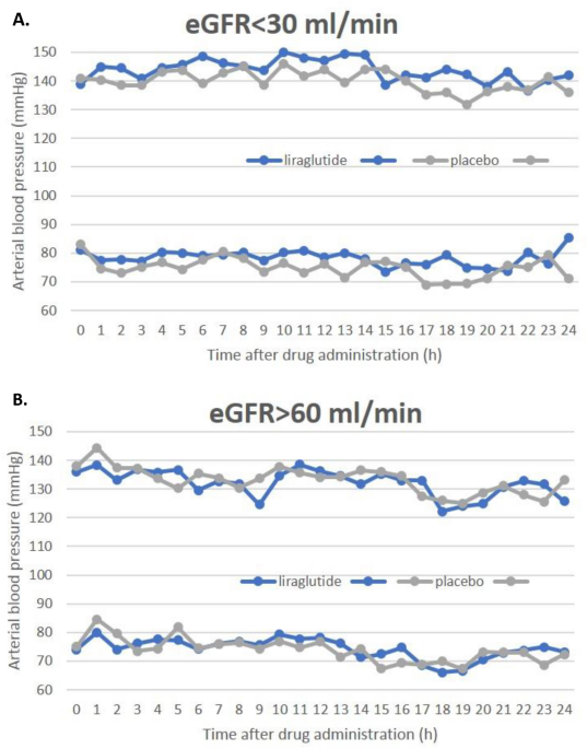 glp 1 orthostatic hypotension The impact of GLP-1 receptor agonist liraglutide on blood pressure profile,  hydration, natriuresis in diabetic patients with severely impaired kidney  function