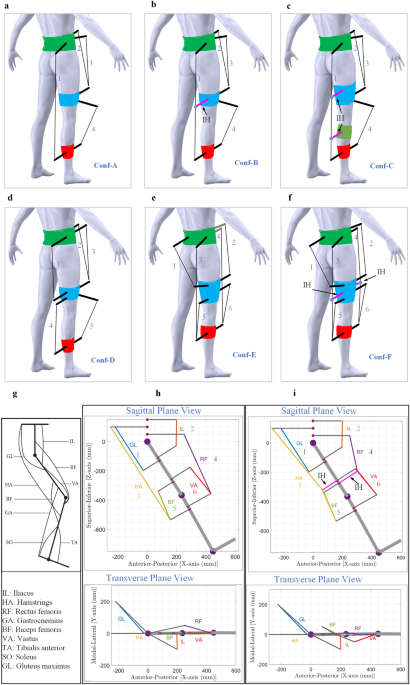 Muscle-inspired bi-planar cable routing: a novel framework for 