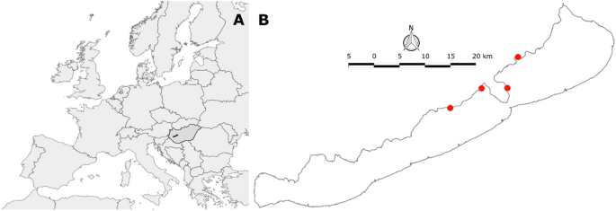 Temporal variation of the submersed macrophytes at the eastern part of