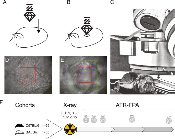 Long-term, non-invasive FTIR detection of low-dose ionizing 