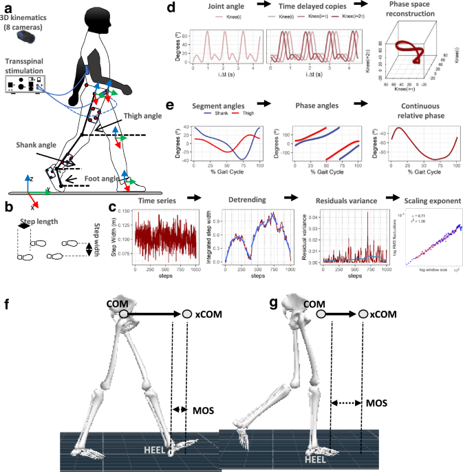 Tapping into the human spinal locomotor centres with transspinal stimulation
