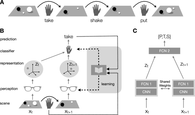 A number sense as an emergent property of the manipulating brain