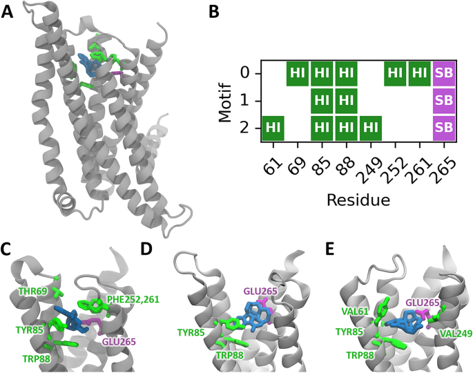 VirtuousPocketome: a computational tool for screening protein 