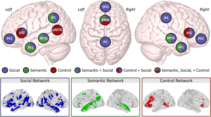 The neural basis of naturalistic semantic and social cognition 