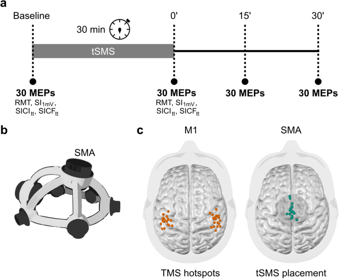 Transcranial static magnetic field stimulation of the 