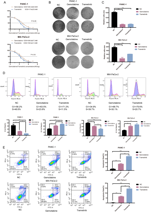 Cdk4/6 inhibition sensitizes mek inhibition by inhibiting cell cycle and proliferation in pancreatic ductal adenocarcinoma