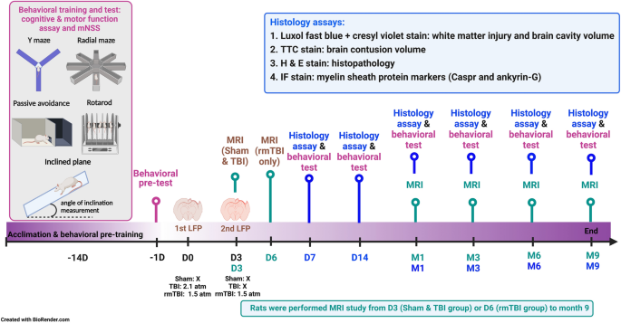 White and gray matter integrity evaluated by MRI-DTI can serve as 
