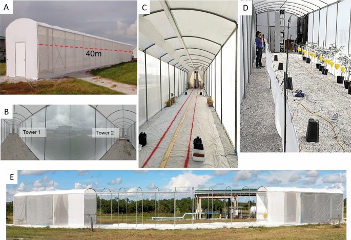 An optical system to detect, surveil, and kill flying insect vectors of ...
