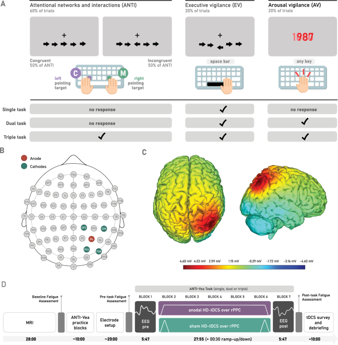 HD-tDCS mitigates the executive vigilance decrement only under 