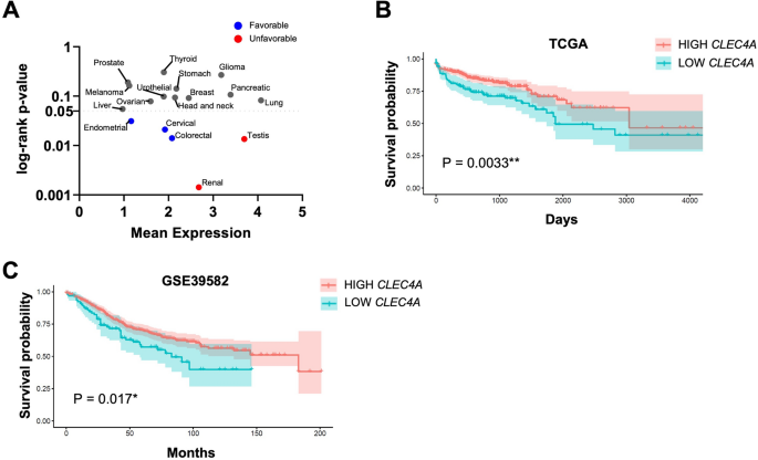 The C-type lectin DCIR contributes to the immune response and pathogenesis of colorectal cancer