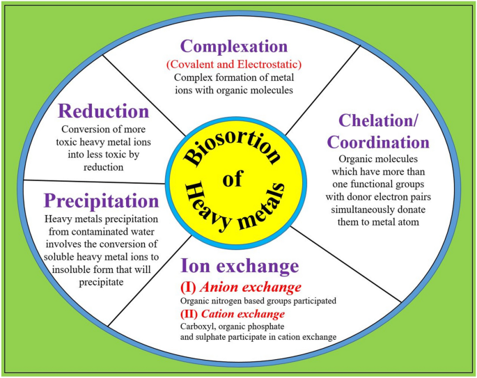 Toxic heavy metal ions contamination in water and their sustainable reduction by eco-friendly methods: isotherms, thermodynamics and kinetics study