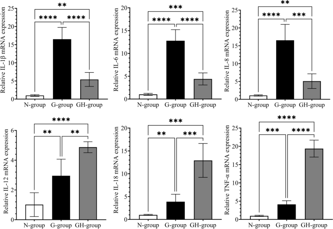 Differential cytokine expression in gastric tissues highlights helicobacter pylori's role in gastrit