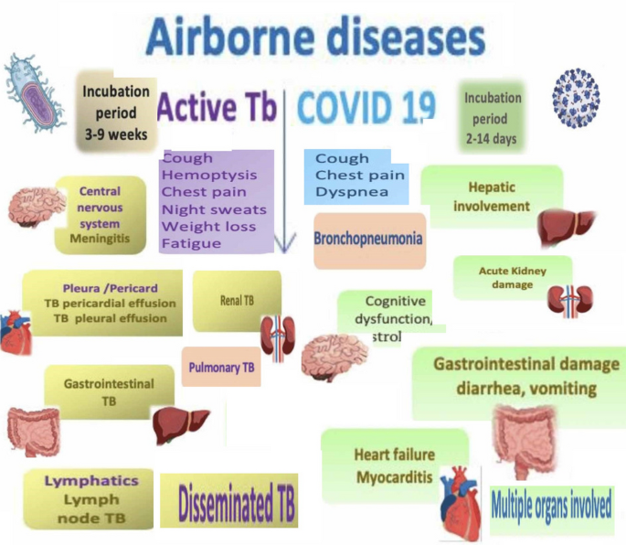 Theoretical and mathematical codynamics of nonlinear tuberculosis and COVID-19 model pertaining to fractional ...