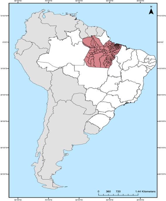 Demographic, social, and clinical aspects associated with access to COVID-19 health care in Pará province, Brazilian ...