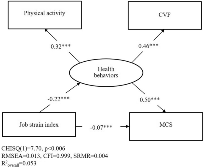 The Relationship Between Job Stress and Mental Health in Police Officers