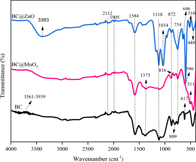 Heavy metals immobilization and bioavailability in multi-metal contaminated soil under ryegrass cultivation as affected by zno and mno2 nanoparticle-m